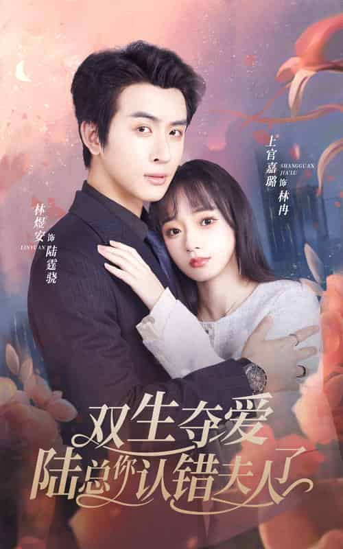 双生夺爱陆总你认错夫人了（94集） - 海之城短剧