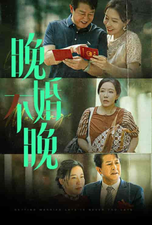 晚婚不晚（30集全） - 海之城短剧
