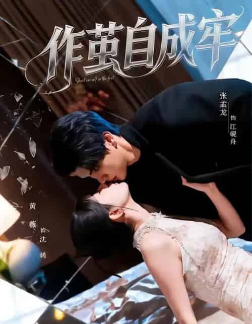 作茧自成牢（52集全）梦龙＆黄薇-海之城短剧项目