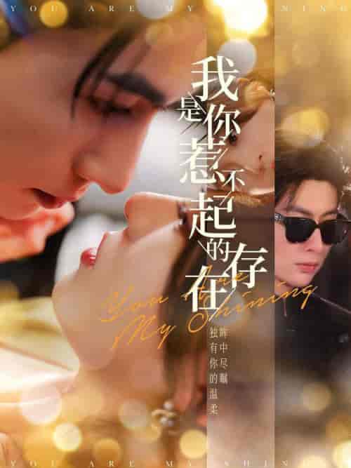 我是你惹不起的存在（101集全）王子林＆郑晨雨 - 海之城短剧