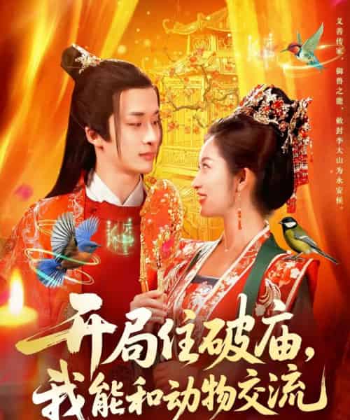 开局住破庙，我能和动物交流（95集全）王泊渊＆崔馨心-海之城短剧项目