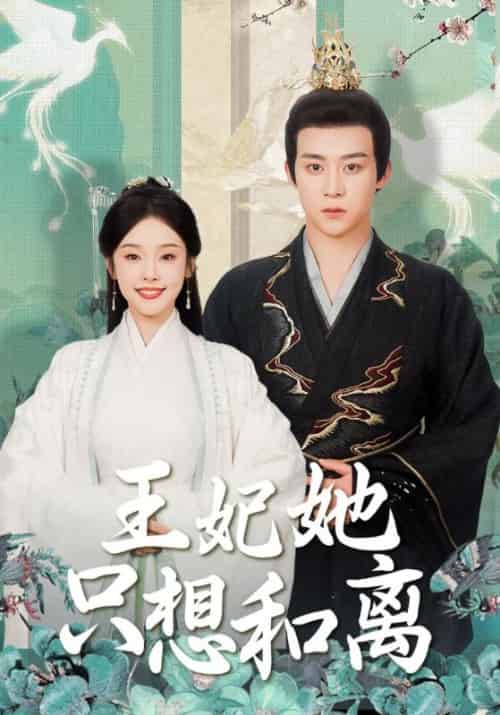 王妃她只想和离（91集全）东方璃＆秦星月 - 海之城短剧
