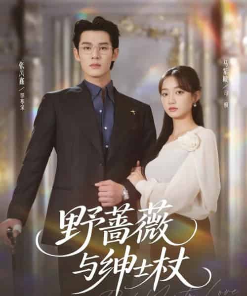 野蔷薇与绅士杖（78集全）张凤鑫＆马紫璇-海之城短剧项目