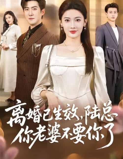 离婚已生效，陆总你老婆不要你了（61集全）赵阿东＆沈玥妡-海之城短剧项目