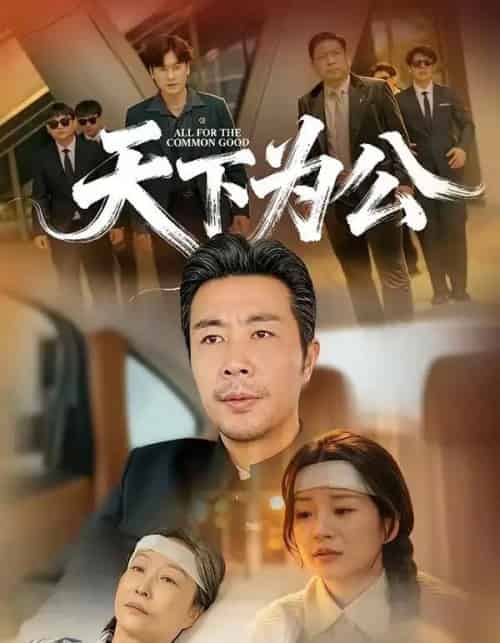 天下为公（58集全）苗峰＆李梦娜-海之城短剧项目