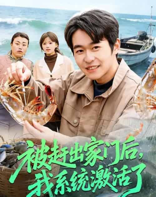 被赶出家门后，我系统激活了（81集全）丛恺凡＆杜美丽-海之城短剧项目