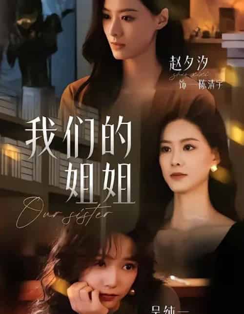 我们的姐姐（65集全）赵夕汐＆吴纯一-海之城短剧项目