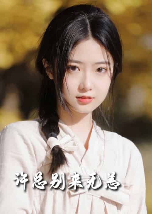 许总别来无恙（50集全）邢航铭 - 海之城短剧