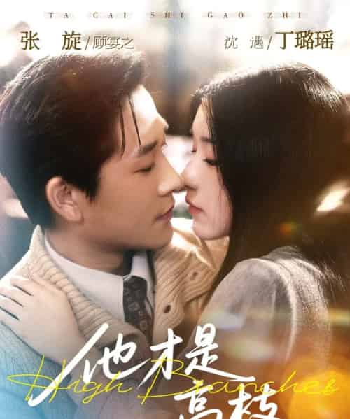 他才是高枝（77集全）张旋＆丁璐瑶-海之城短剧项目