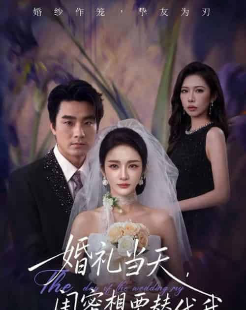 婚礼当天，闺蜜想要替代我（66集全）王小橙＆穆豪-海之城短剧项目