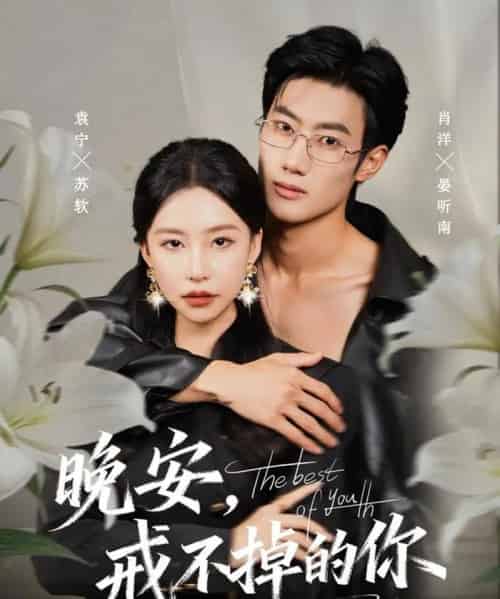 晚安，戒不掉的你（68集全）袁宁＆肖洋-海之城短剧项目