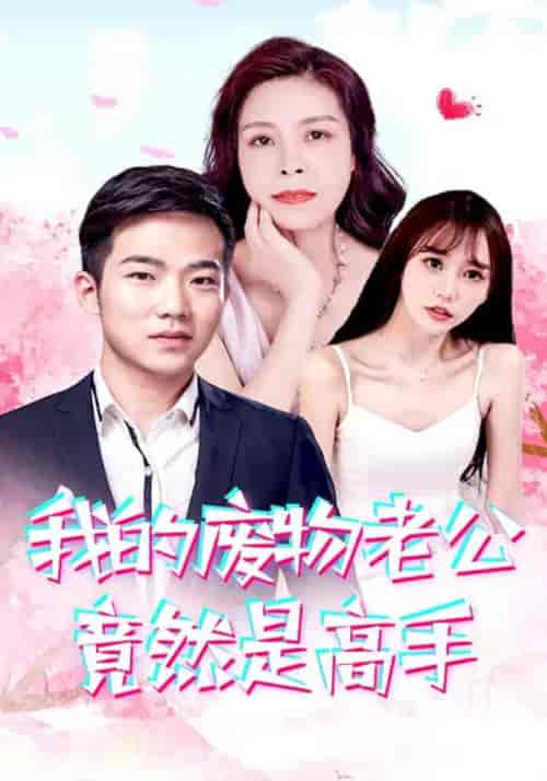我的废物老公竟然是高手（100集）燕子 - 海之城短剧