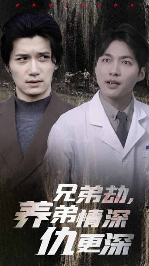 兄弟劫养弟情深仇更深（28集全） - 海之城短剧