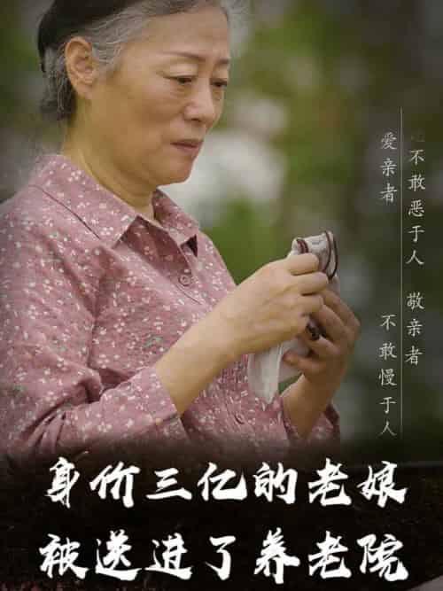 身价三亿的老娘被送进了养老院（30集全） - 海之城短剧