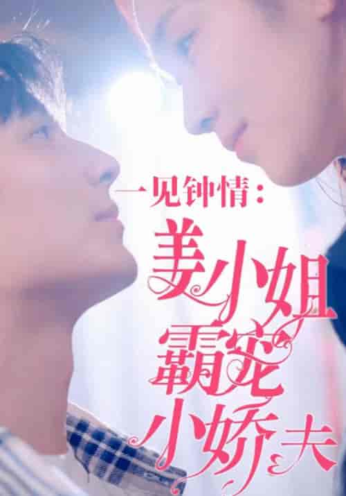 一见钟情：姜小姐霸宠小娇夫（100集全）傅怀砚＆姜南音 - 海之城短剧