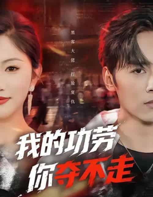 我的功劳，你夺不走（72集全）王硕＆李图图-海之城短剧项目