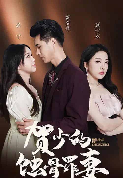 贺总裁夫人好绝情（101集全）-海之城短剧项目