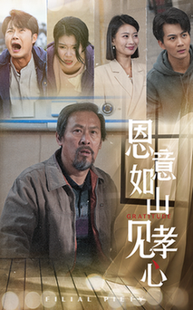 恩意如山见孝心（55集全） - 海之城短剧