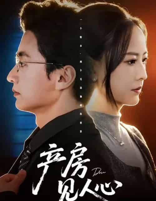 产房见人心（98集全）珑一＆任燕-海之城短剧项目