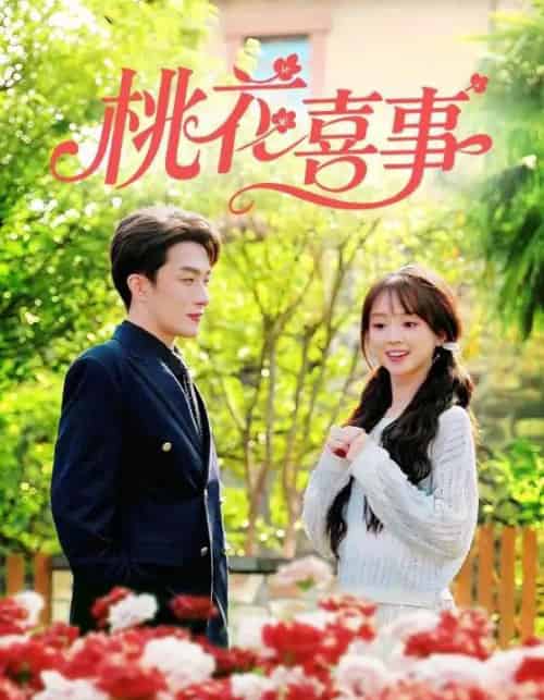 桃花喜事（63集全）叶庭＆蔡淼燕-海之城短剧项目