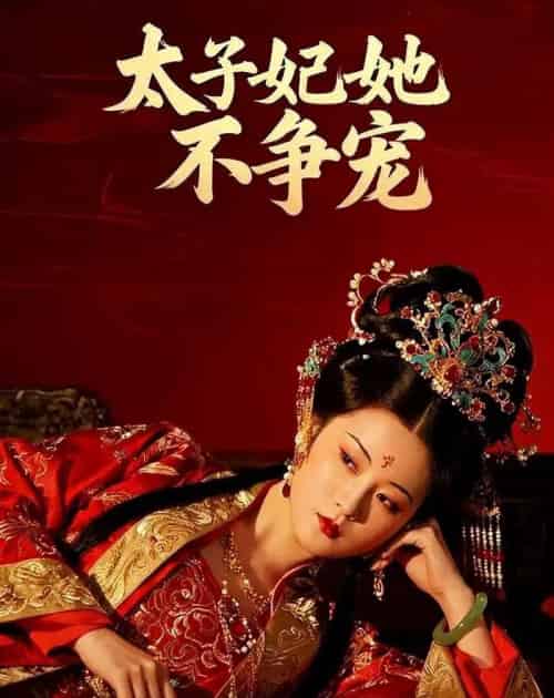 太子妃她不争宠（40集全）-海之城短剧项目
