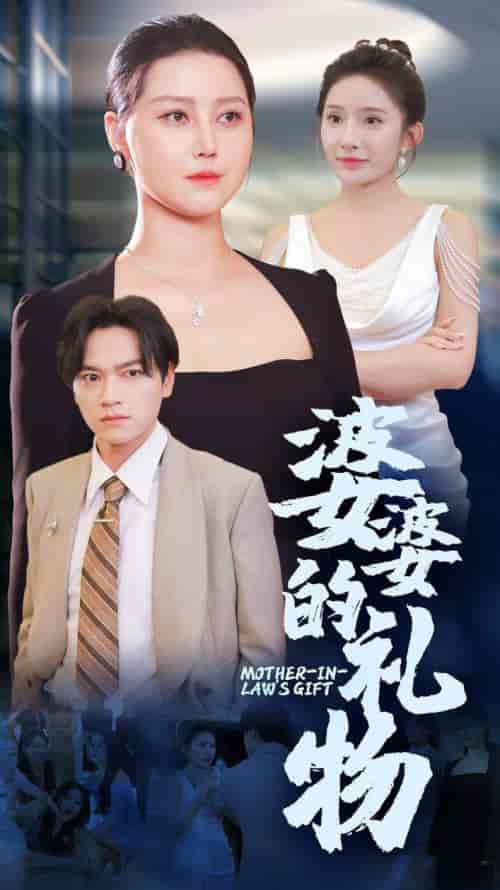 婆婆的礼物（30集） - 海之城短剧