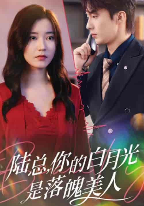 陆总,你的白月光是落魄美人 陆总,你的白月光是落魄美人