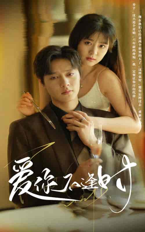 爱你不逢时 爱你不逢时