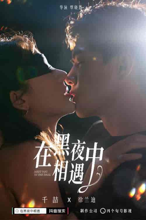 在黑夜中相遇（32集） - 海之城短剧