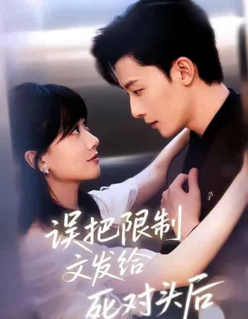 误把限制文发给死对头后（62集全）朱永强＆苟钰浠-海之城短剧项目