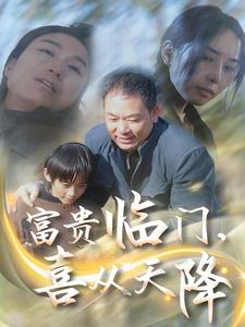 富贵临门，喜从天降（18集全） - 海之城短剧
