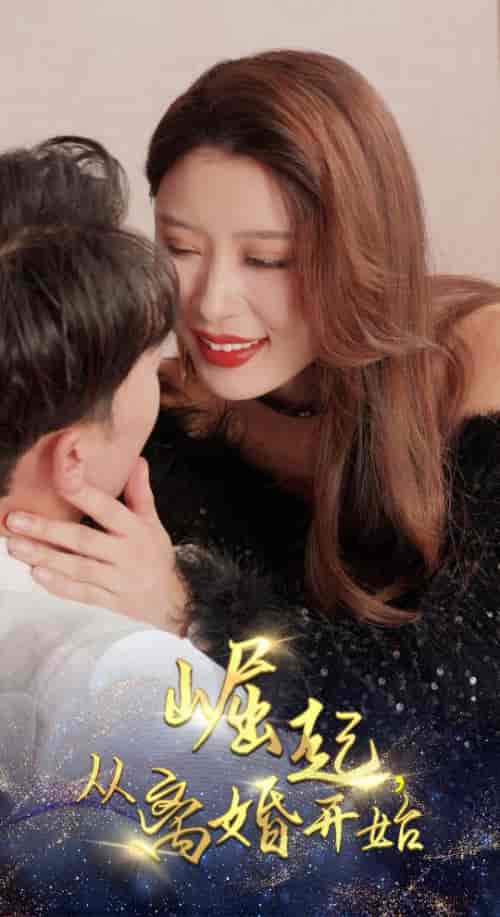 崛起，从离婚开始（100集） - 海之城短剧
