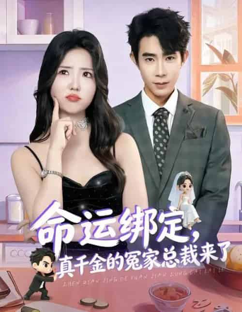 命运绑定，真千金的冤家总裁来了（80集全）郭士博＆李海蒂-海之城短剧项目