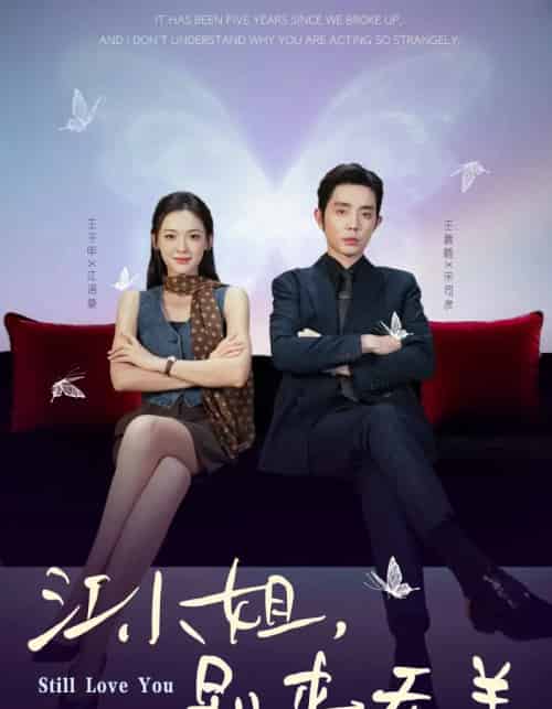 江小姐，别来无恙＆分手五年，宋先生别纠缠（92集全）王晨鹏＆王子甲-海之城短剧项目