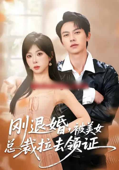 刚退婚，被美女总裁拉去领证（81集全）胡耀＆李沐汐-海之城短剧项目