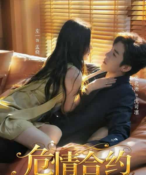 危情合约（76集全）张北淅＆左一-海之城短剧项目
