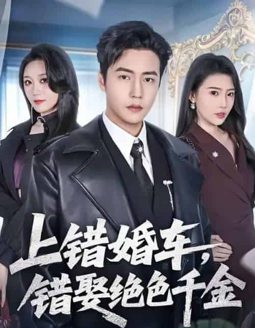 上错婚车，错娶绝色千金（80集全）申芳赫＆孙雪阳-海之城短剧项目