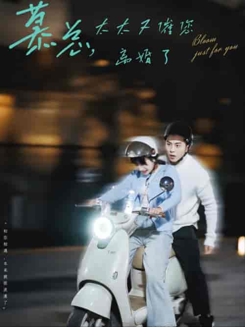 慕总太太又催您离婚了（80集全）李可乐＆象韵洁 - 海之城短剧