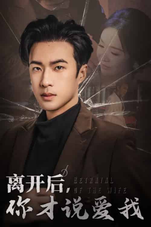 离开后你才说爱我＆心如枯木难逢春（30集）孔奇力 - 海之城短剧