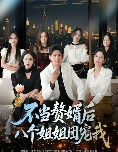 不当赘婿后八个姐姐团宠我（80集全）李青霖＆丁丁-海之城短剧项目