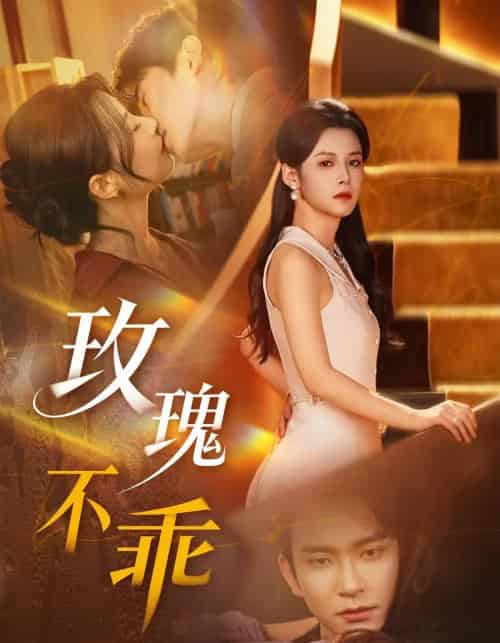 玫瑰不乖（69集全）王已歌＆谭雯文-海之城短剧项目