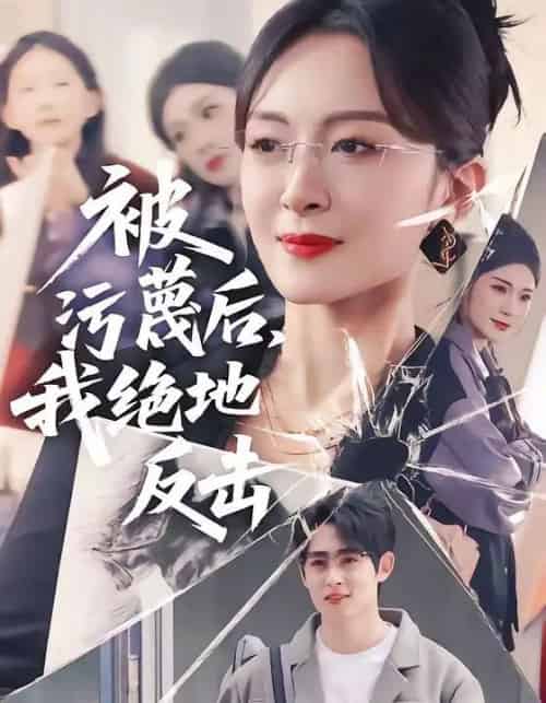 被污蔑后，我绝地反击（50集全）李小风＆程琳淼-海之城短剧项目