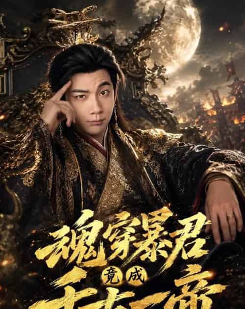 魂穿暴君竟成千古一帝（67集全）张玉轩＆俞俙-海之城短剧项目