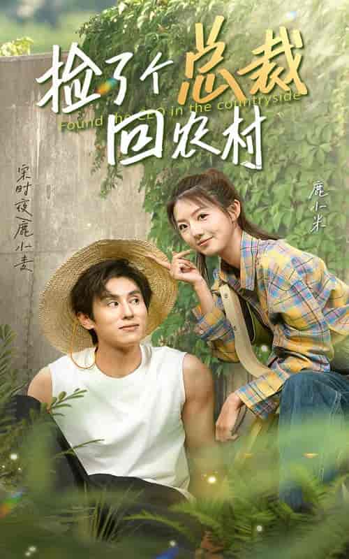 捡了个总裁回农村（32集） - 海之城短剧