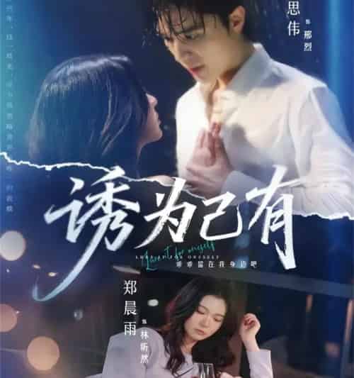 诱为己有（84集全）梁思伟＆郑晨雨-海之城短剧项目