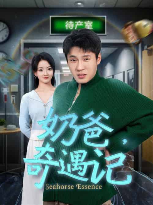 奶爸奇遇记（60集全）刘宇航 - 海之城短剧