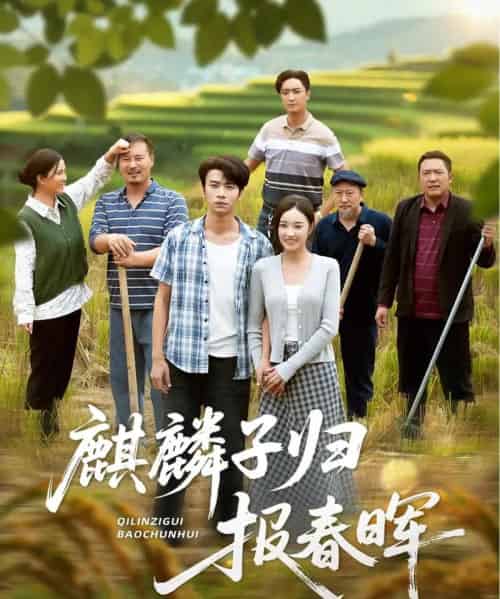 麒麟子归报春晖（36集全）夏欢亭＆吴俊杰-海之城短剧项目