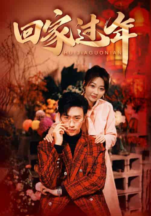 回家过年（74集） - 海之城短剧