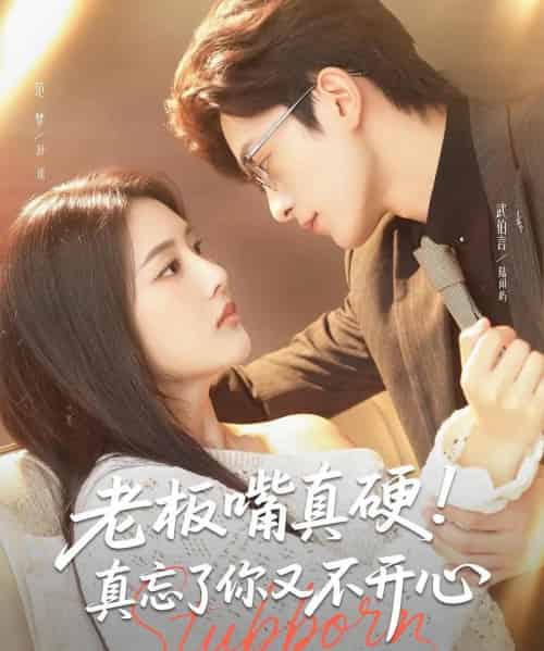 老板嘴真硬真忘了你又不开心（83集）武伯言＆范梦 - 海之城短剧