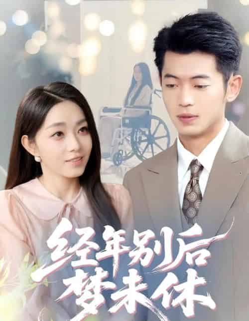 经年别后梦未休（85集）李泉成＆李冰冰-海之城短剧项目